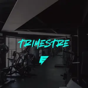 Trimestre — Entrena en Envision